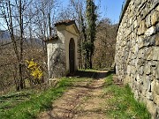 Zogno, da casa, anello via Ambria-Camonier, prima volta- 22mar21  - FOTOGALLERY